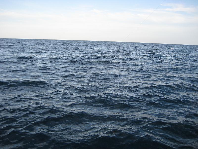 Picture 005